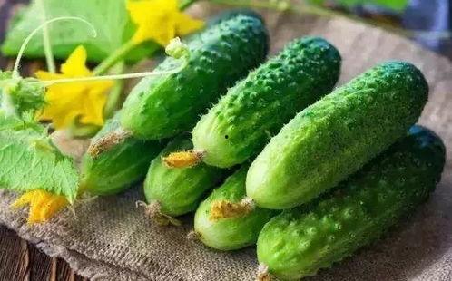 会吃瓜就会切瓜,瓜界高手养成记