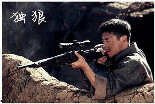 独狼 全集在线观看,孤胆英雄的传奇征程