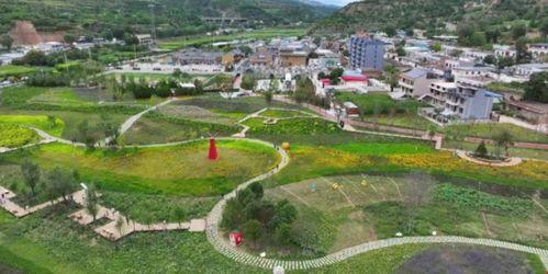 渚河镇王营村新闻头条,聚焦乡村振兴，共绘美丽乡村新画卷”