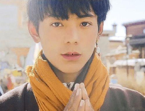 网红 丁真,从高原牧民到网络红人，他的传奇蜕变之路”