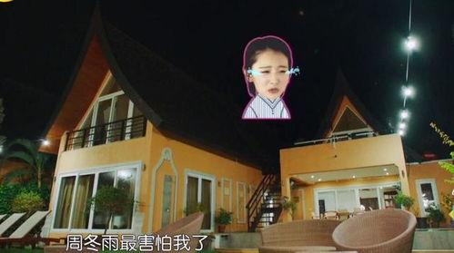 明星黑历史大全爆料视频,视频爆料背后的真相与反思