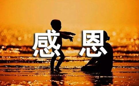 感谢头条有你的话图片