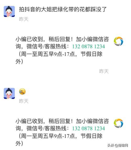 花都抖音爆料视频,揭秘热门视频背后的故事