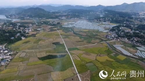 红花岗区海龙镇头条,红花岗区海龙镇最新动态一览