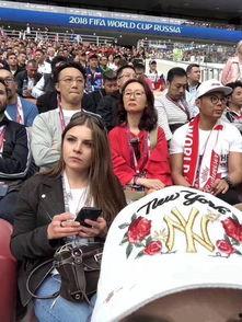 明星观众的照片,明星观众风采瞬间