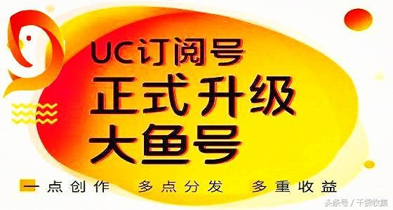 大鱼号和头条号对比图