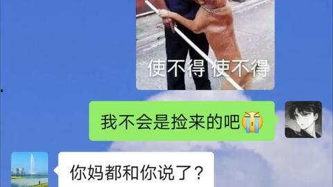 每日必吃大瓜网红大赛,瓜王争霸，笑料横生！