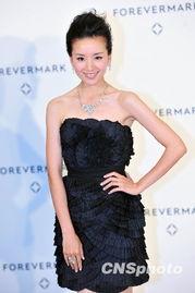董洁明星资料,从清纯玉女到演技派，揭秘她的星途历程